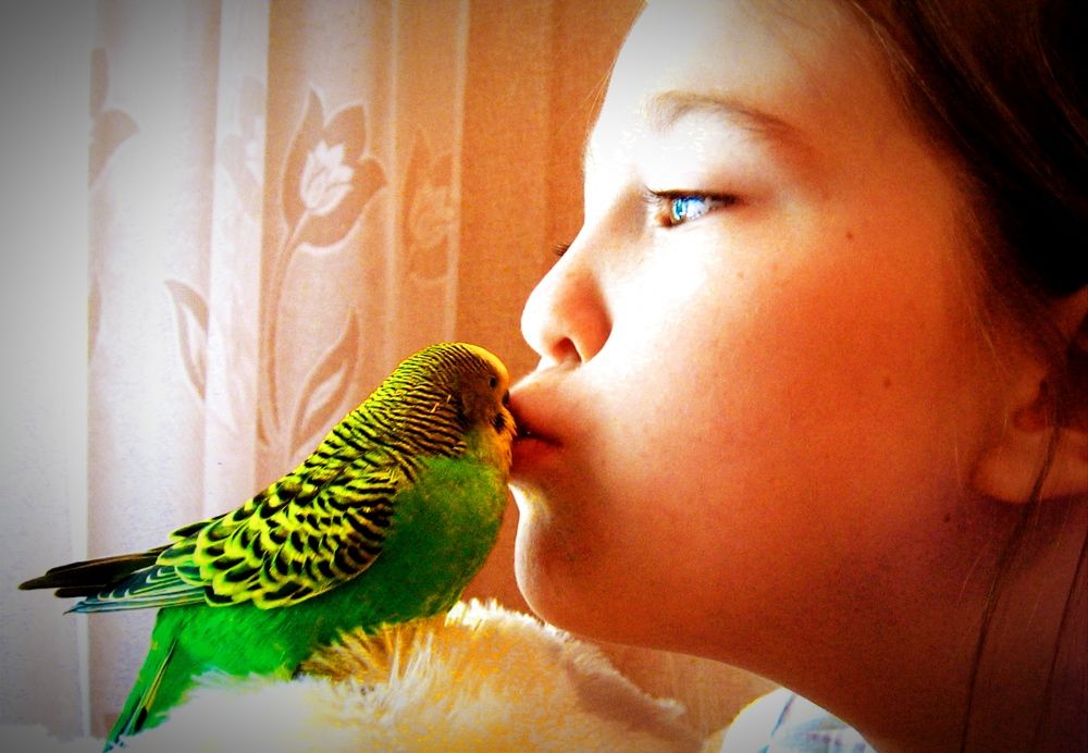 Photograph by Владимир Ким