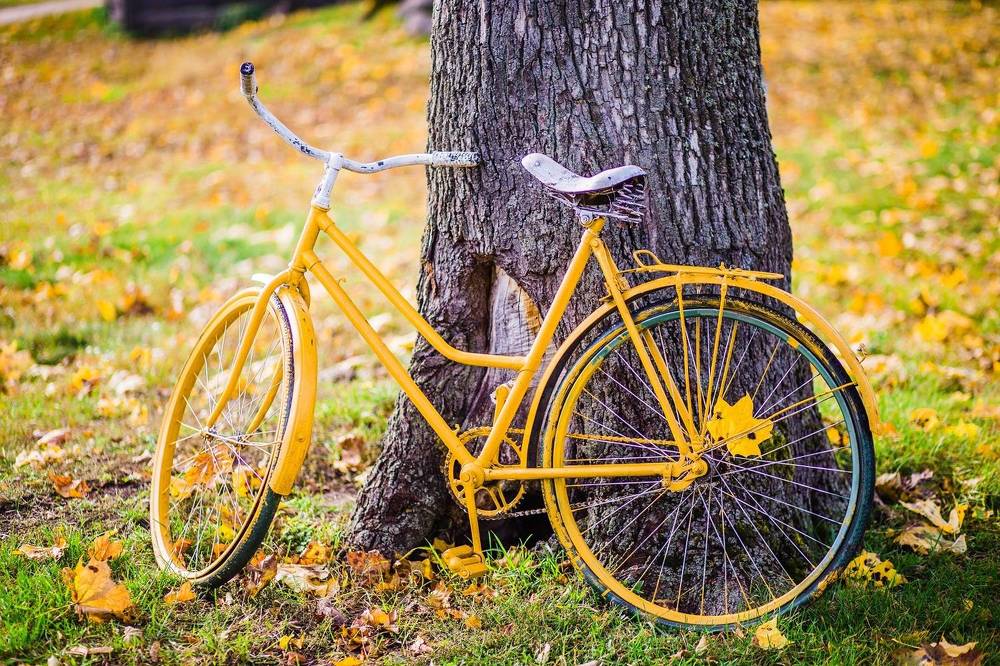 Photograph by Alexander Slizh