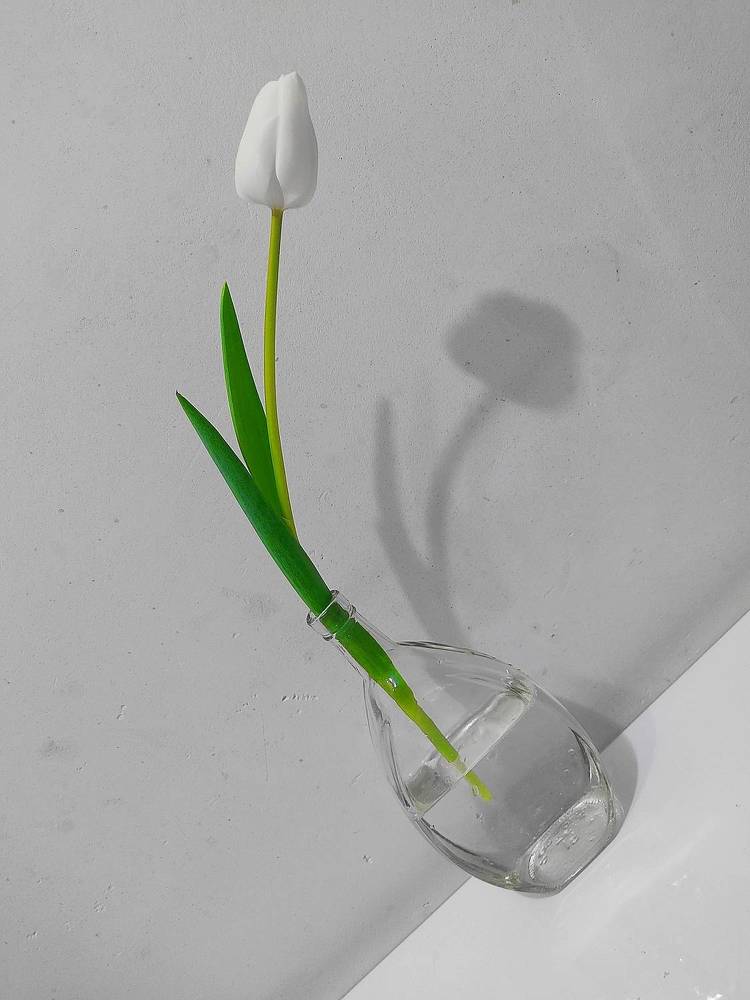 Photograph by Александра