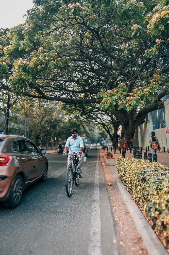 Photograph by Muhammed Junaid A P