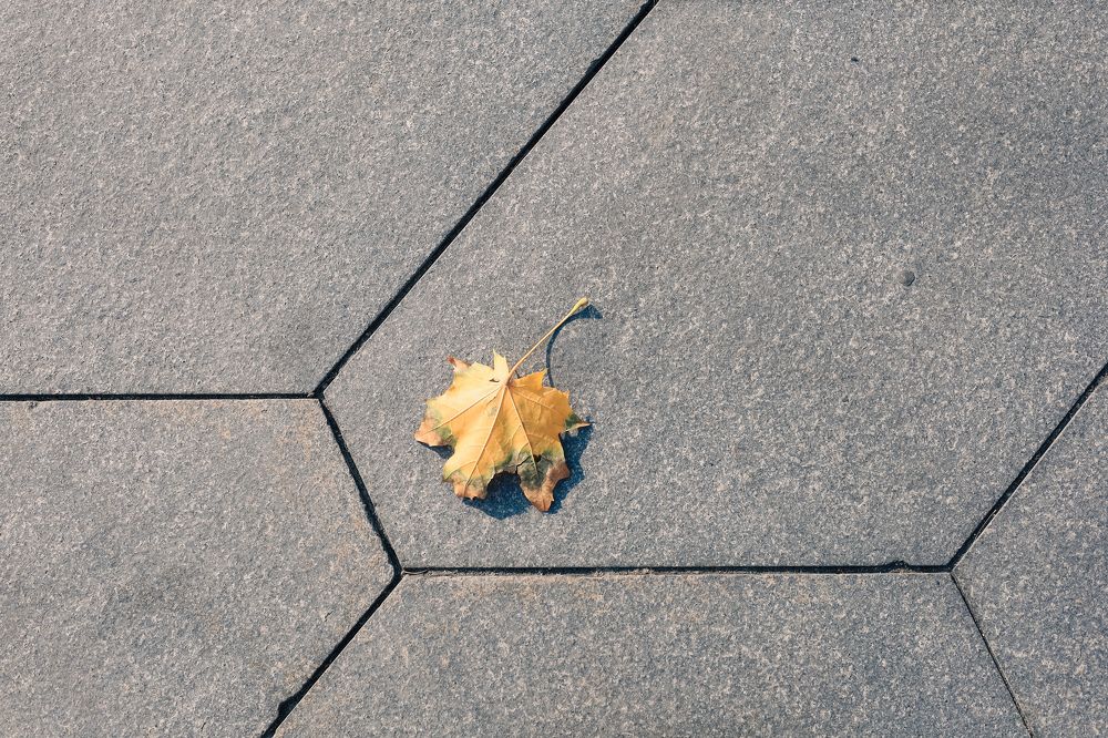 Photograph by Наталия Трофимова