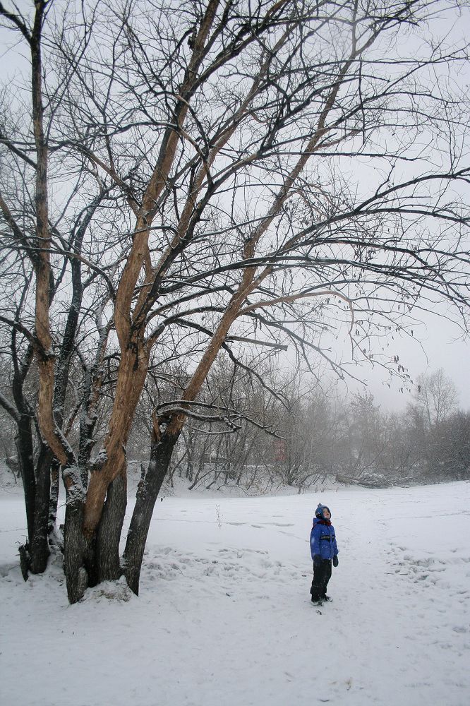 Photograph by Дарья Вихорева