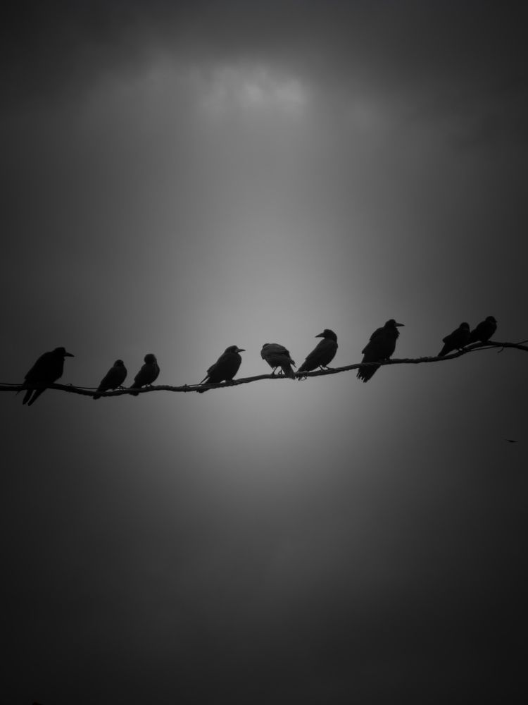 Photograph by Konstantin Martynov