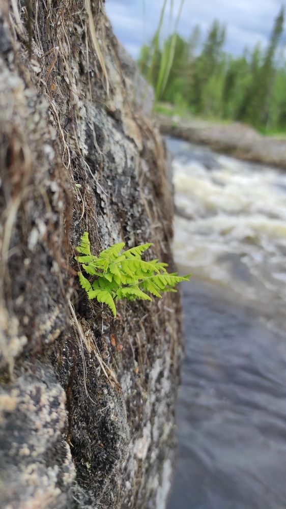 Photograph by Виолетта Клюева