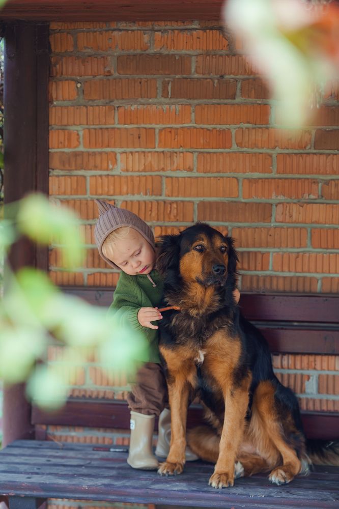 Photograph by Наталья Шкроб