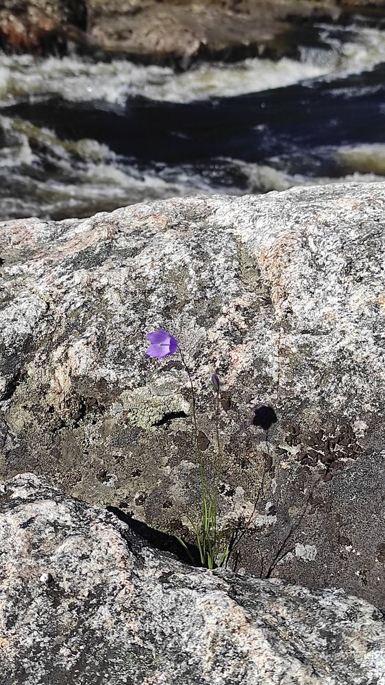 Photograph by Виолетта Клюева