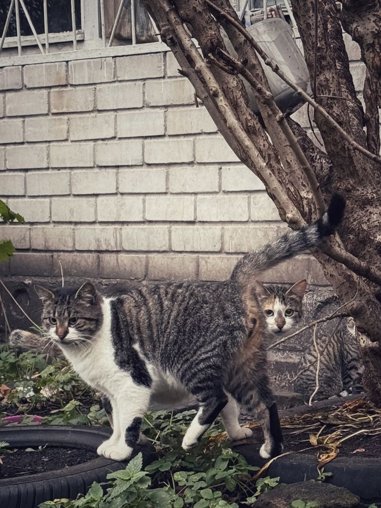 Photograph by Zhanna Kolesnikova