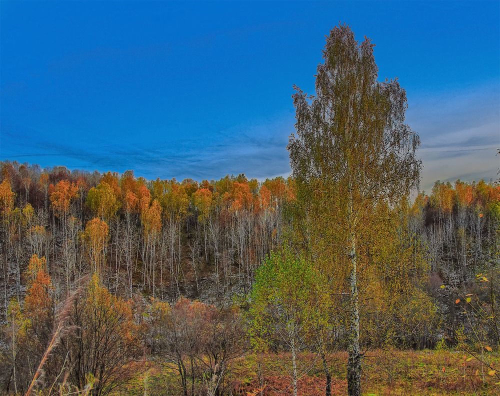 Photograph by Пушкин Сергей