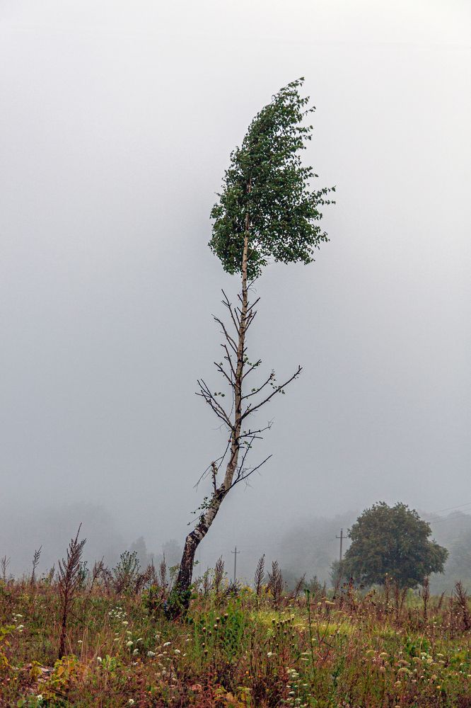 Photograph by Сергей Христинич
