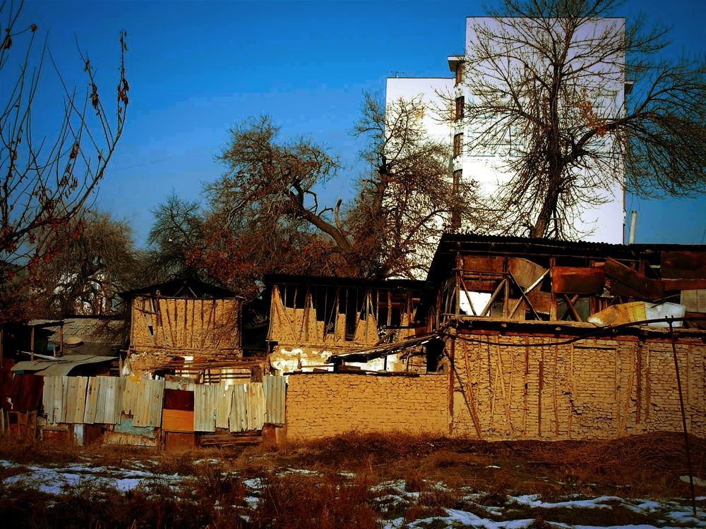 Photograph by Владимир Ким