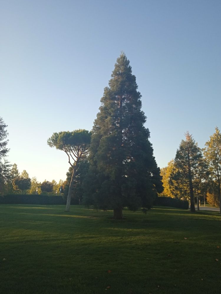 Photograph by Наталья Покрепина