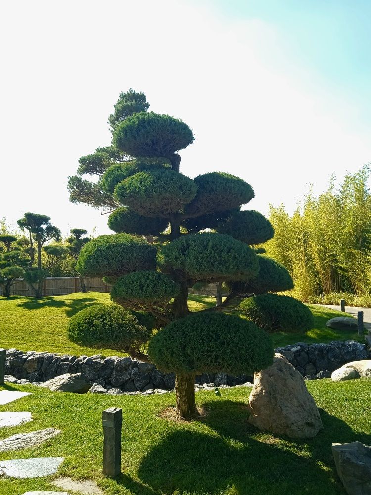 Photograph by Наталья Покрепина