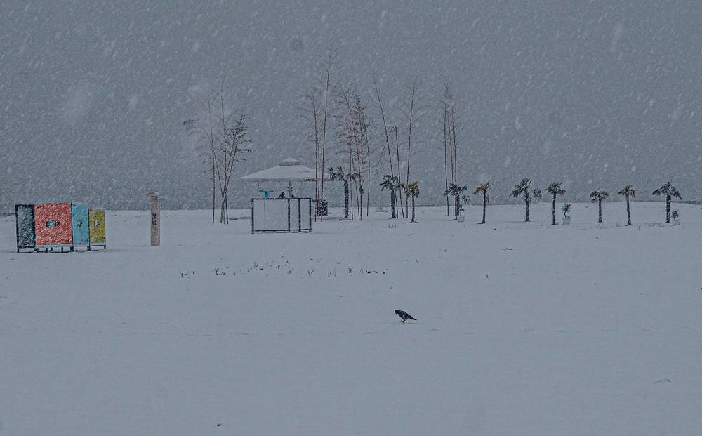 Photograph by жан хачапурадзе