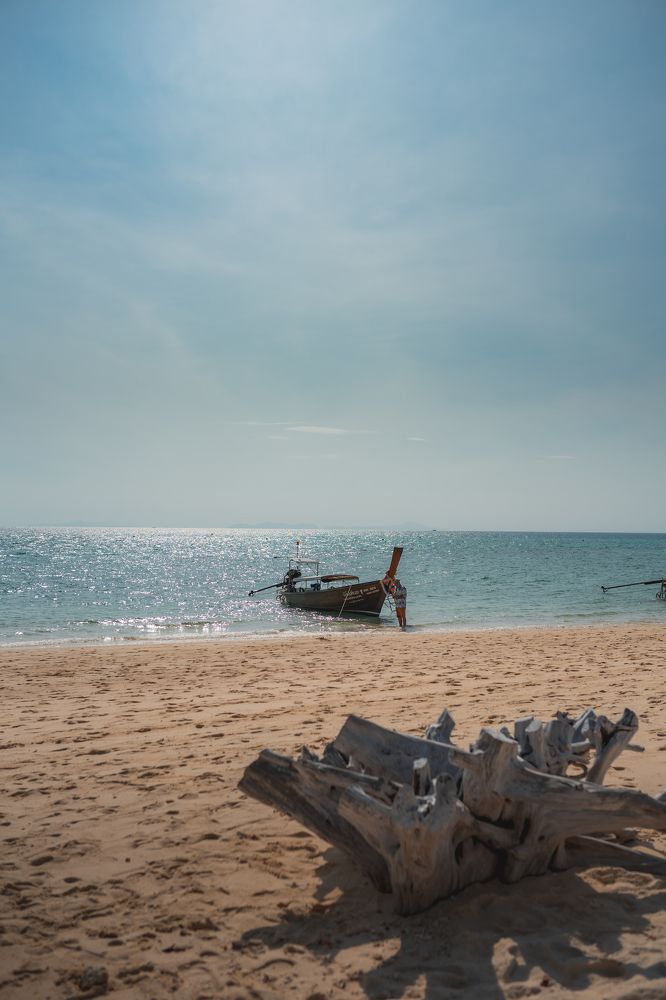 Photograph by Alexey Sapozhnikov