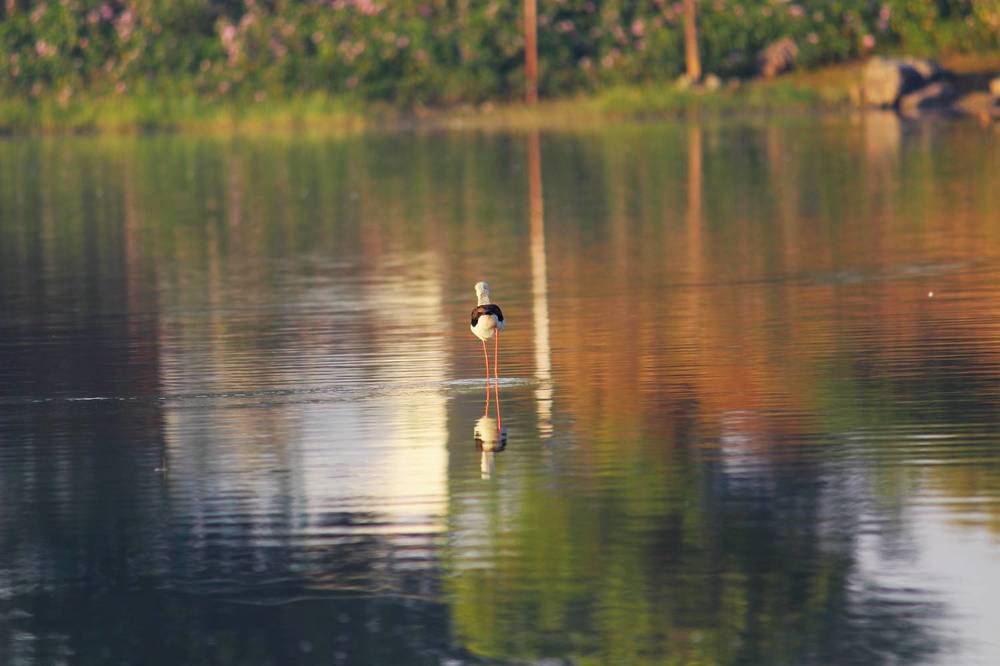 Photograph by Rajesh Sheth