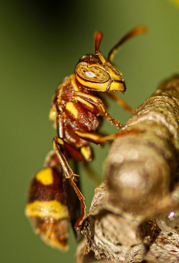 Photograph by Mathew Nishanth A