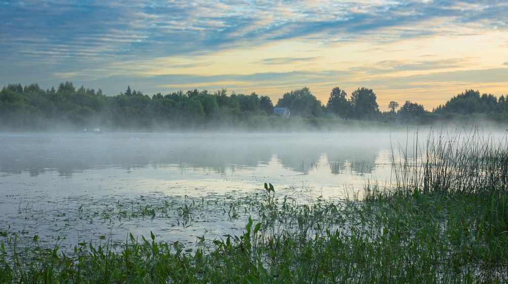 Early summer morning by the Sukhona River