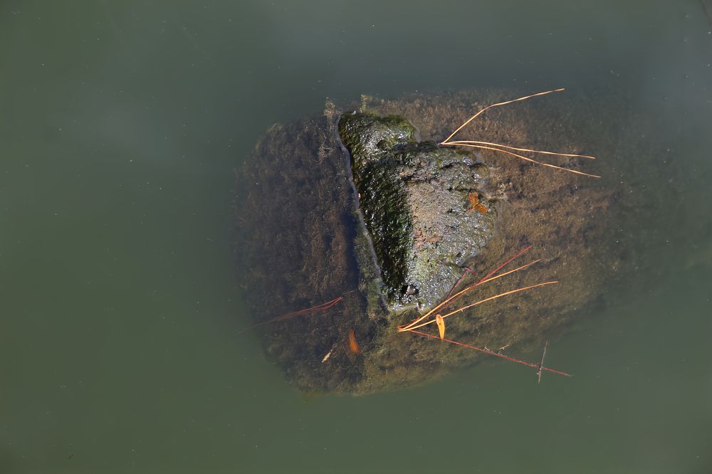 Фотография автора Jeff Cooley