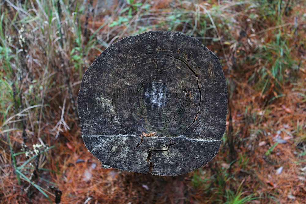 Фотография автора Jeff Cooley