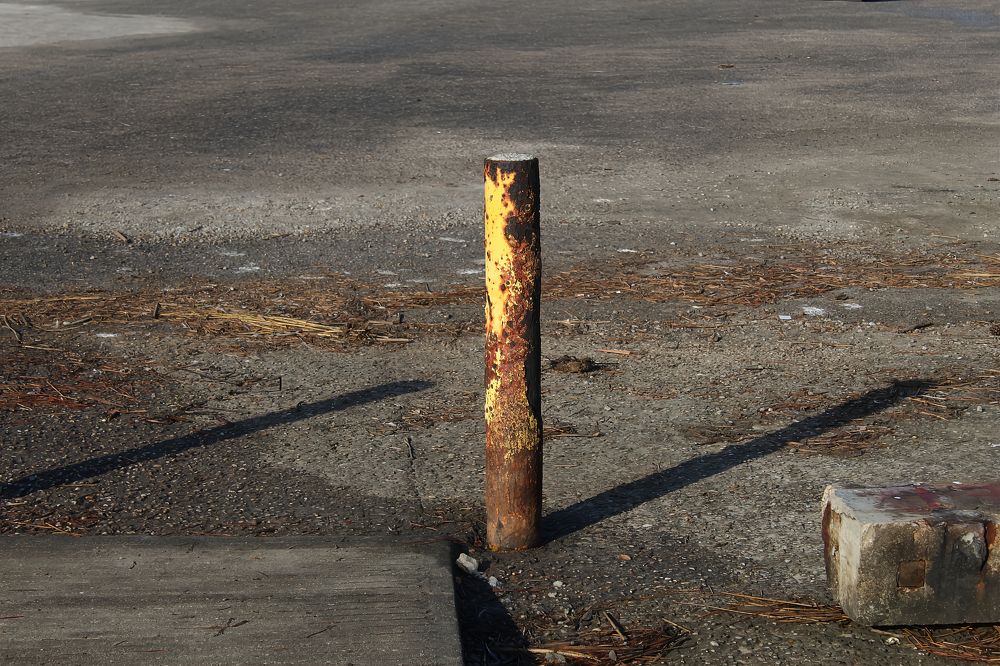 Фотография автора Jeff Cooley