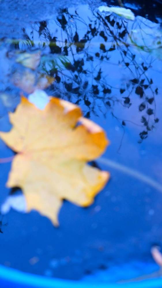 Photograph by Яна Истоцкая