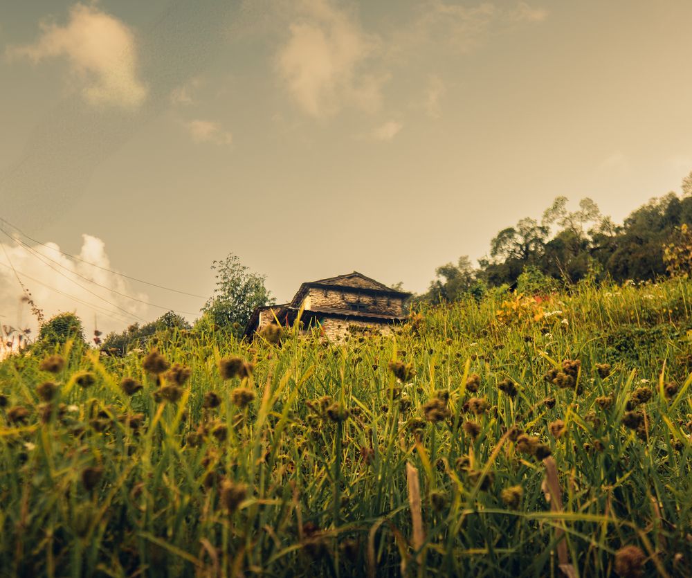 Photograph by Nishan BK