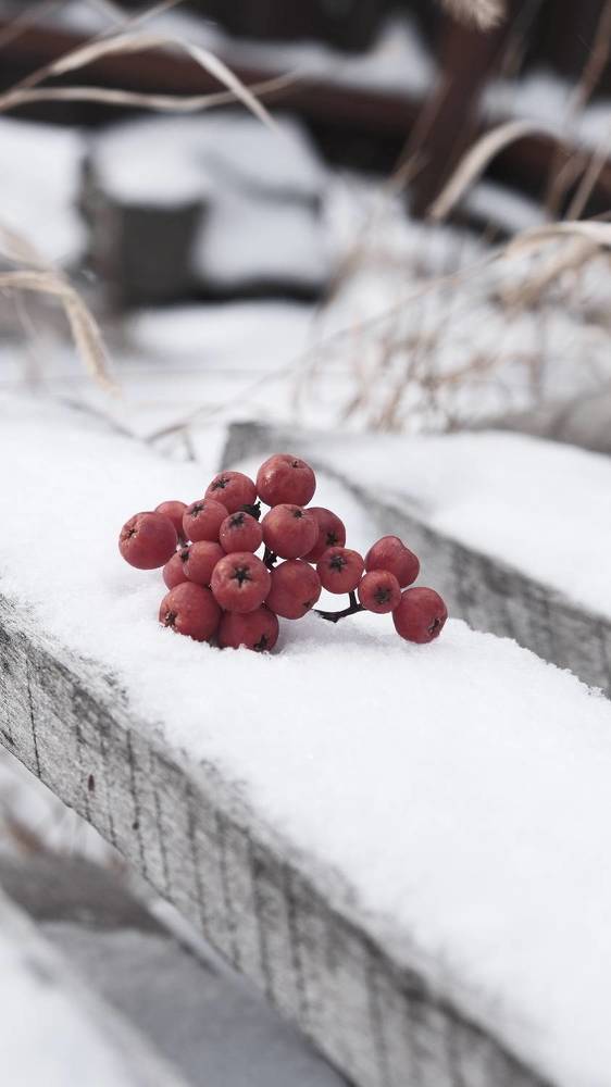 Photograph by Яна Истоцкая