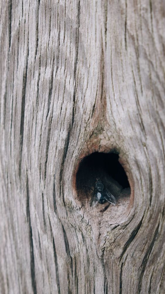 Photograph by Яна Истоцкая