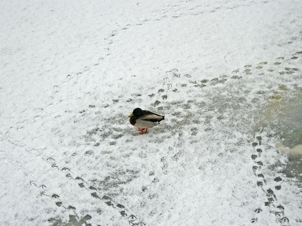 Photograph by Елена Юдина