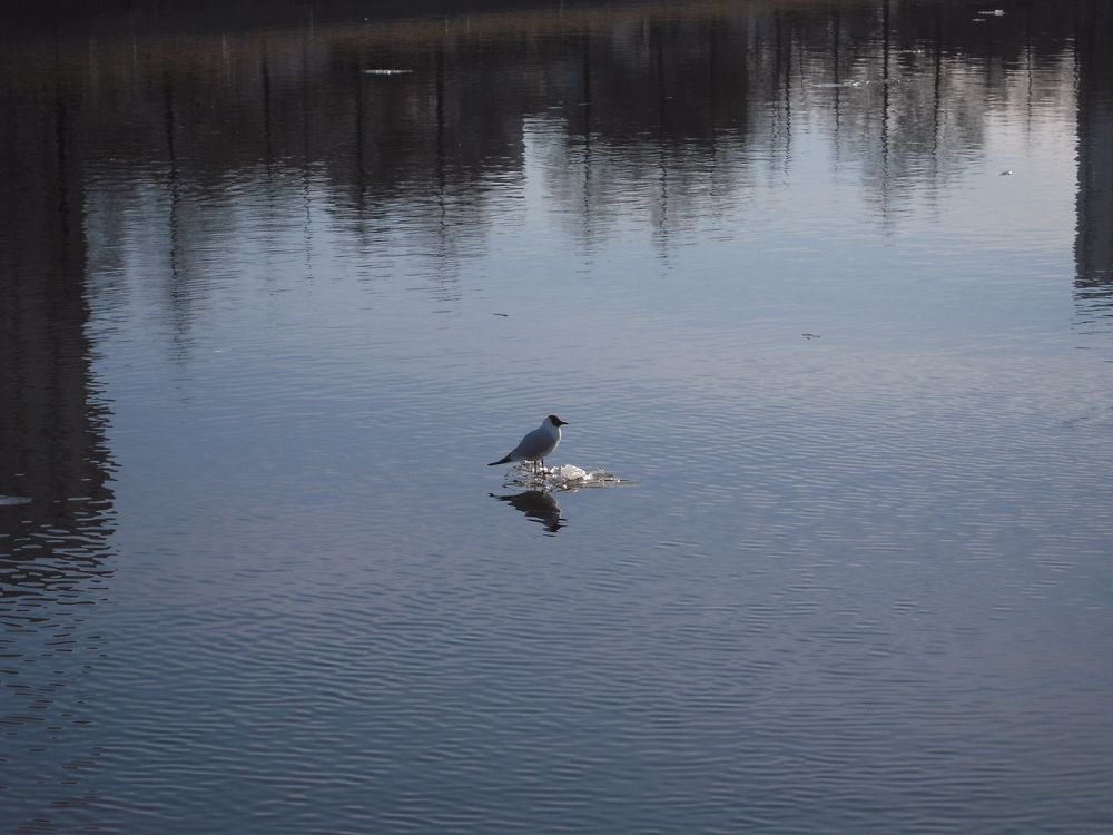 Photograph by Елена Юдина