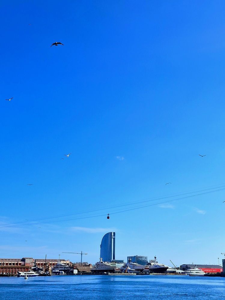 Фотография автора Maryna Pytliak