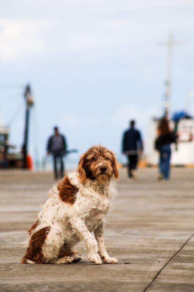 Photograph by Екатерина Нальгиева