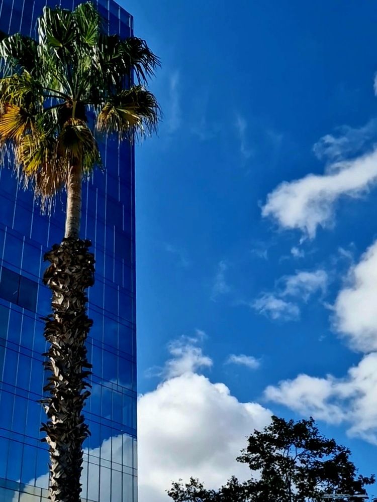 Фотография автора Maryna Pytliak