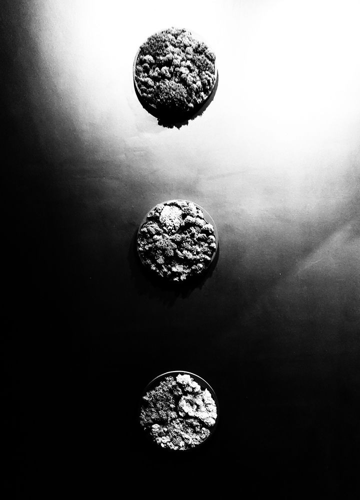 Photograph by Анна Михайловна