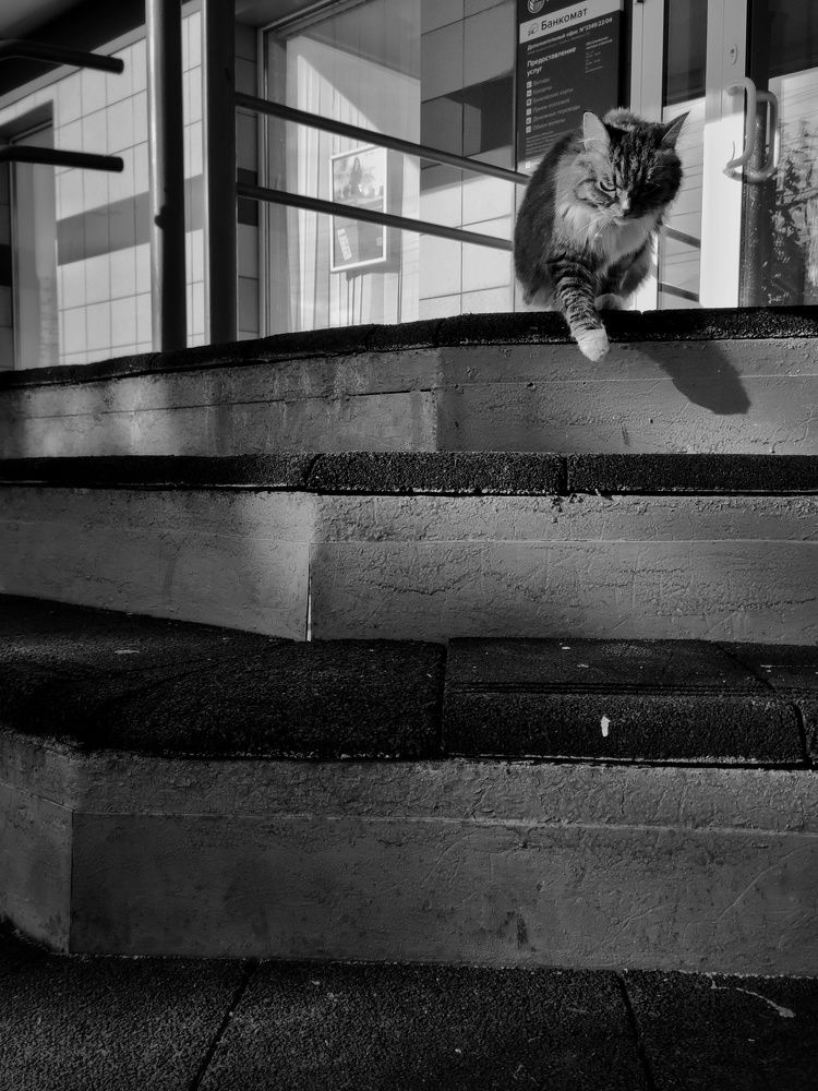 Вас заметили!