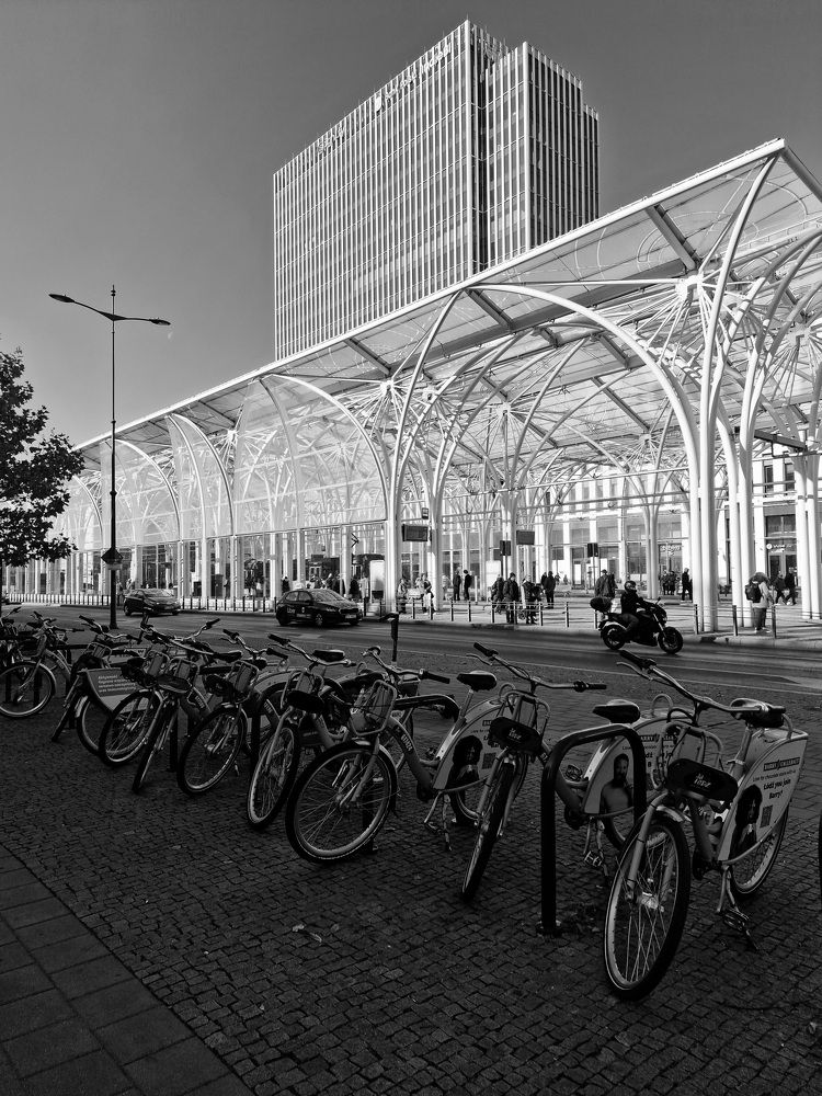 Фотография автора Maryna Pytliak