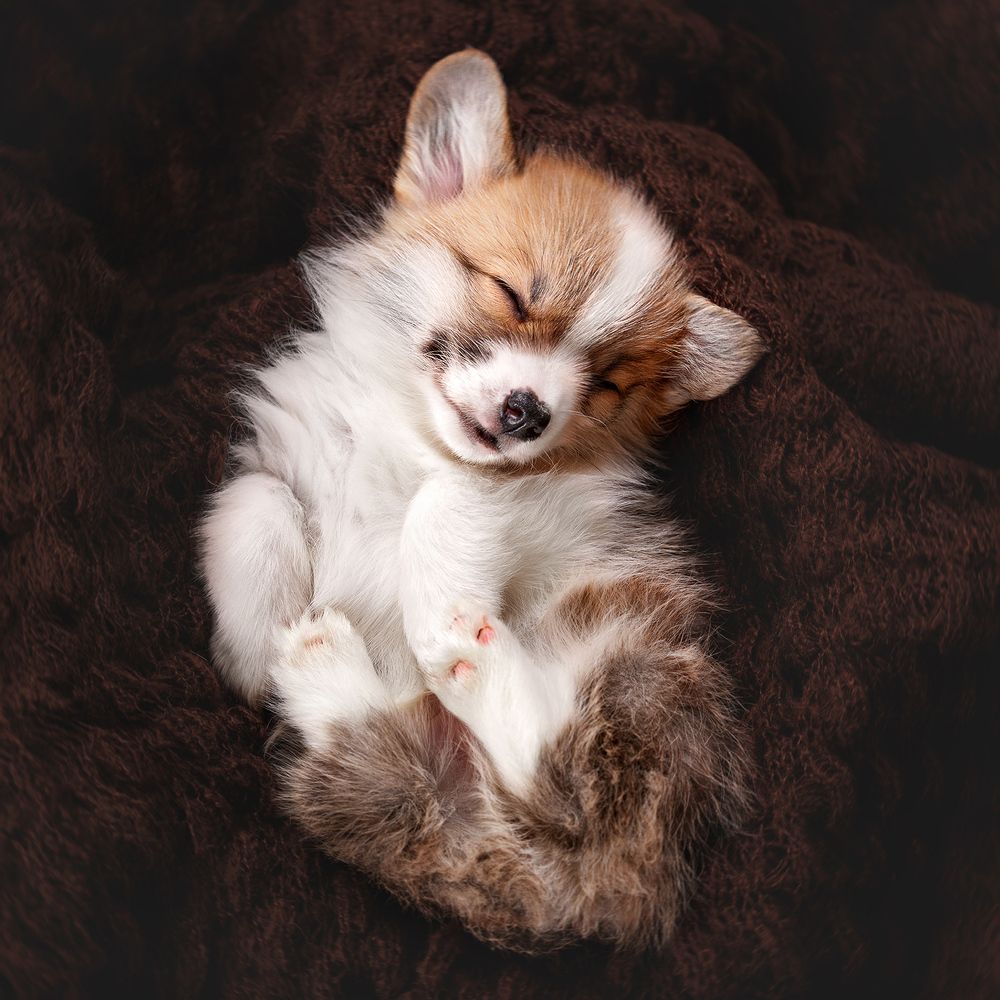 Фотография автора Оксана Серова