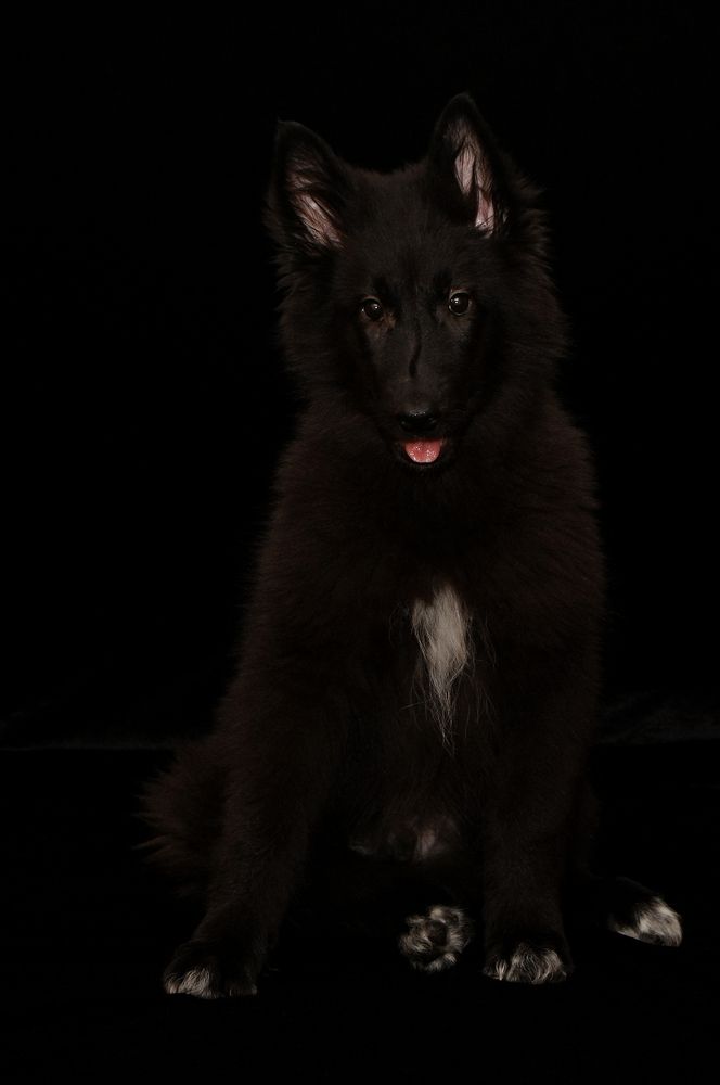 Фотография автора Надежда Лисицына