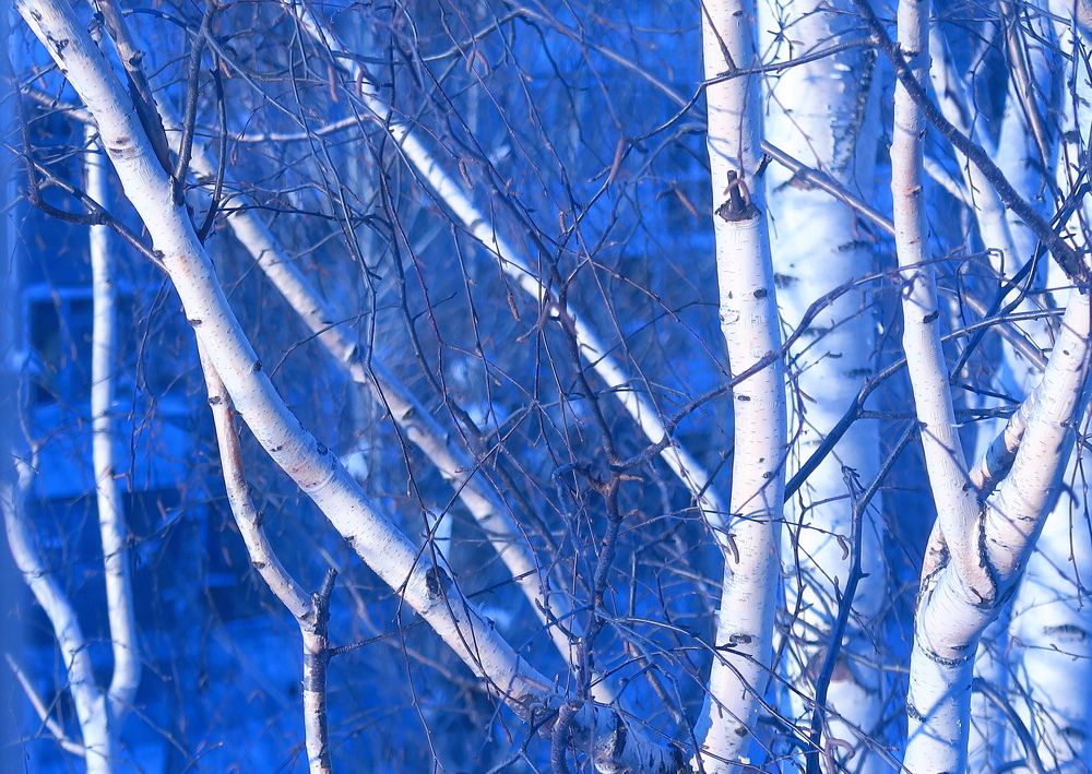 Photograph by Орл Про