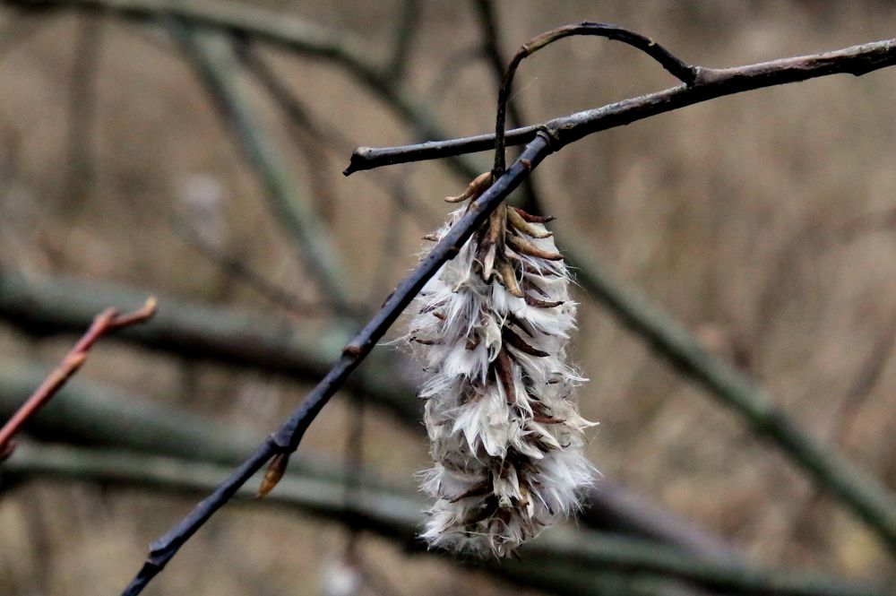 Фотография автора Николай Семенец