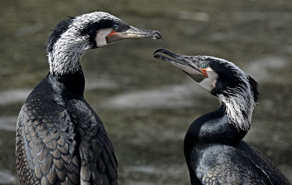 Photograph by Marjo Steffen