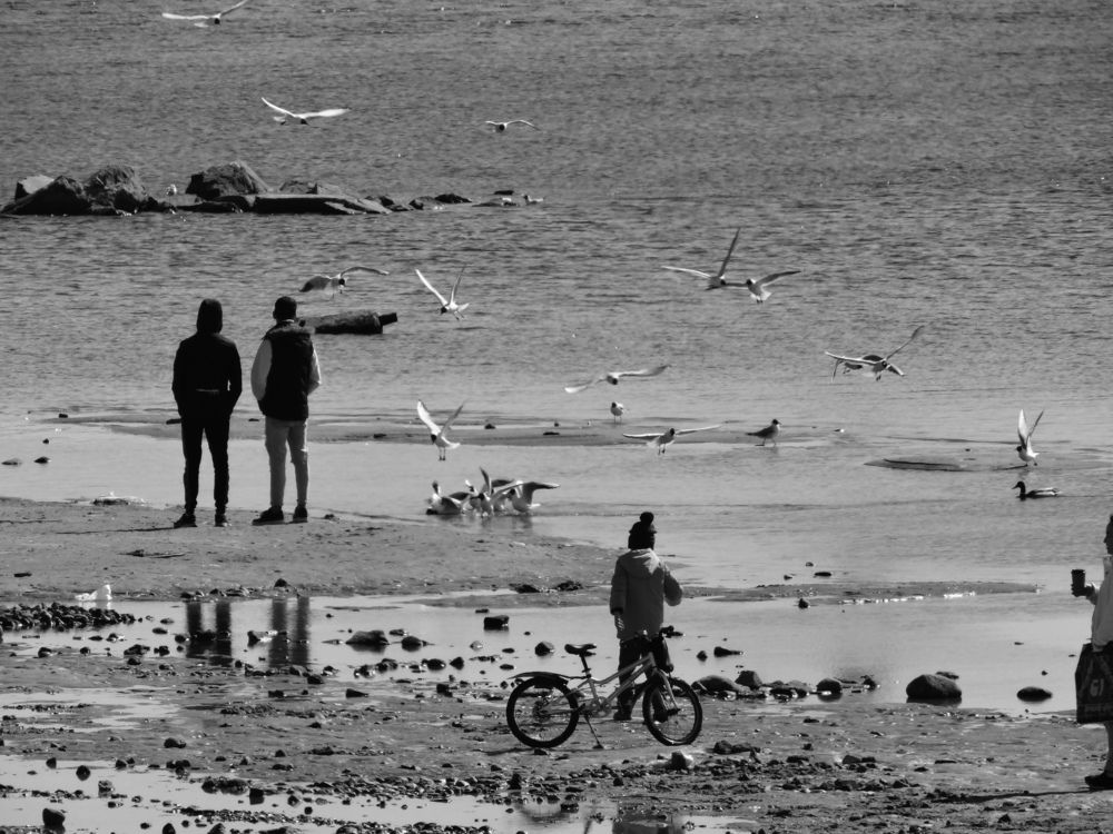 Photograph by Данила Мельников