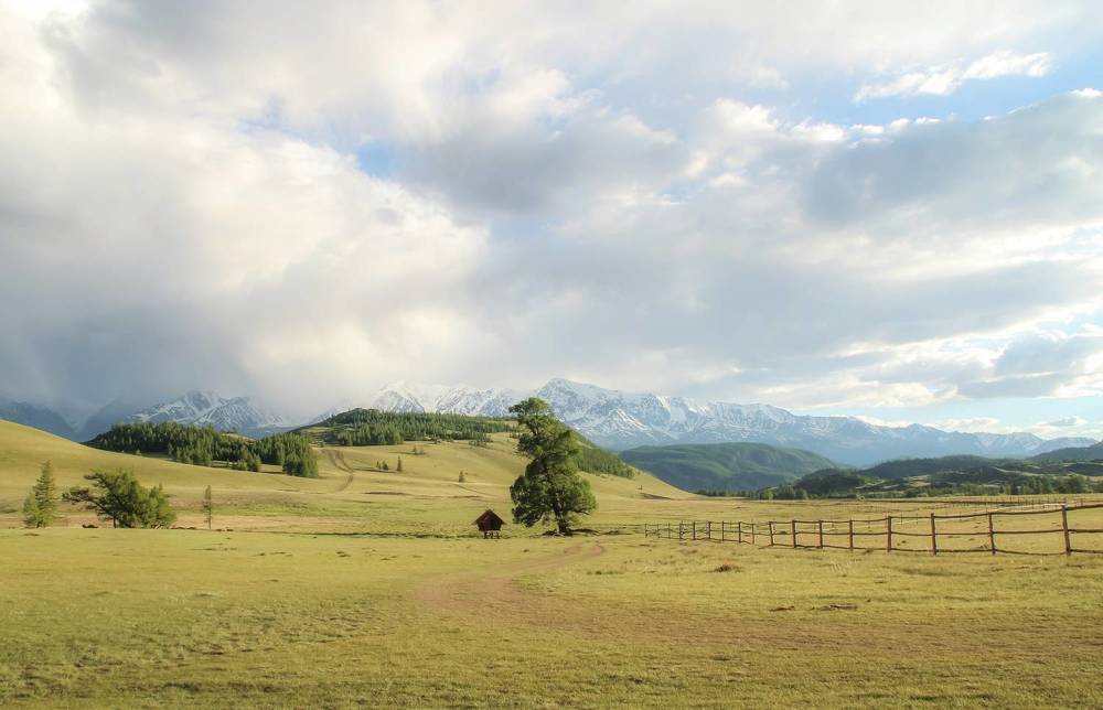 Photograph by Maxim Petrovsky