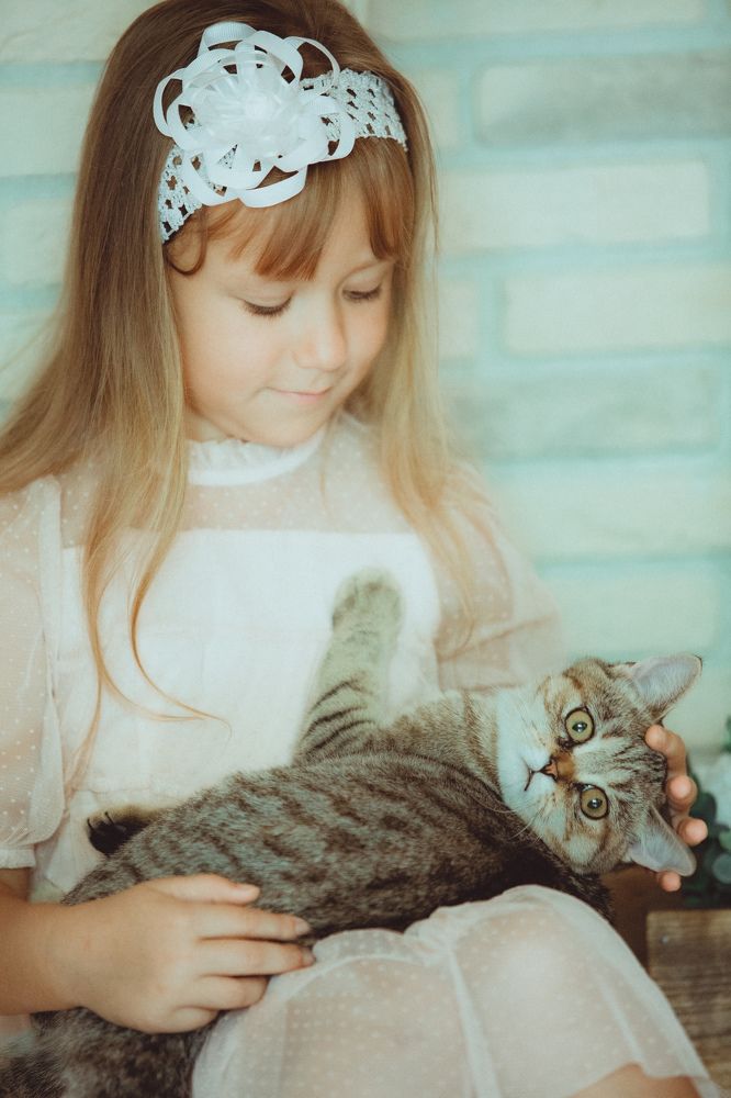 Фотография автора Вазген Бояджян