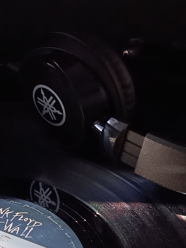 Фотография автора Екатерина Пачина