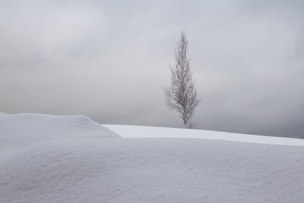 Photograph by Наталья Суслова