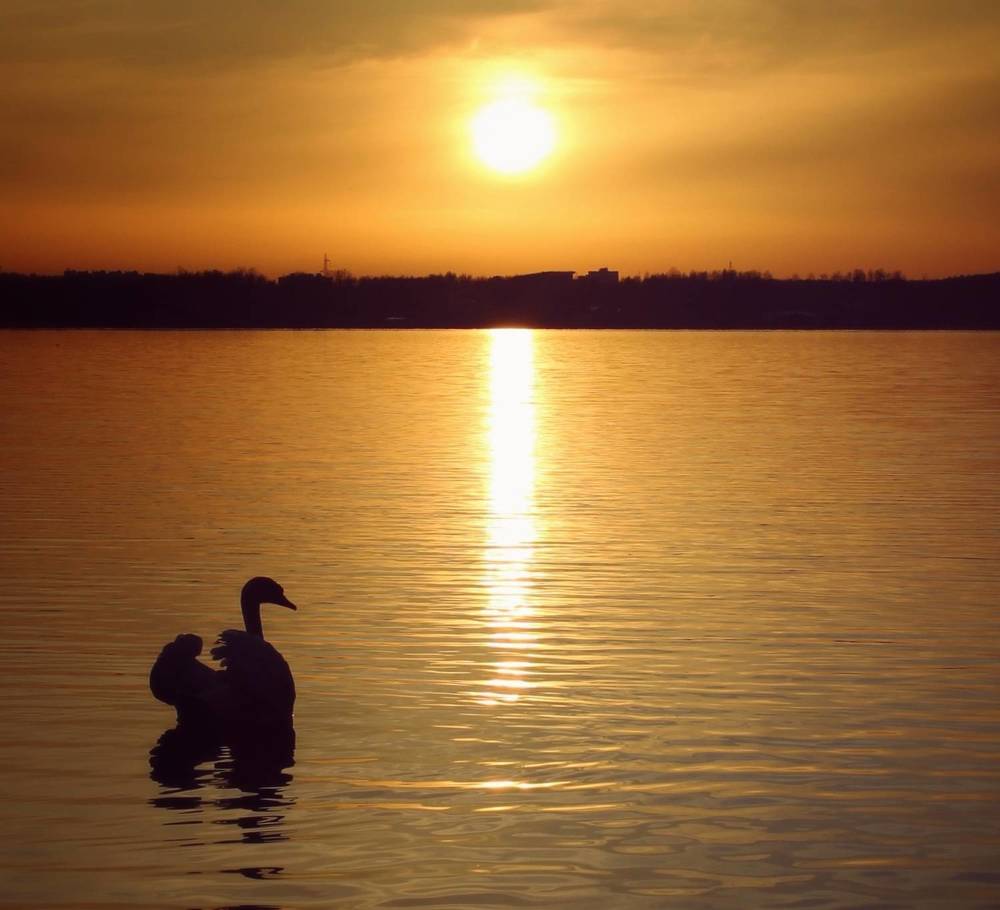 Photograph by Татьяна Сычёва