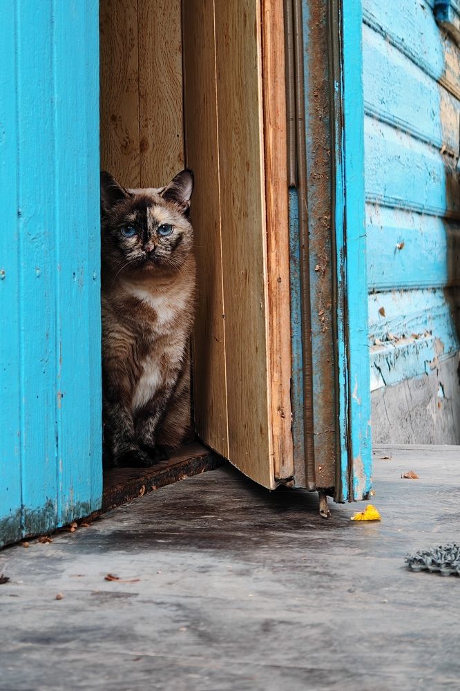 Photograph by Владислав Афанасьев