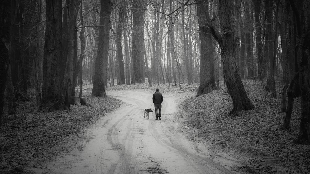 Photograph by Vitaliy