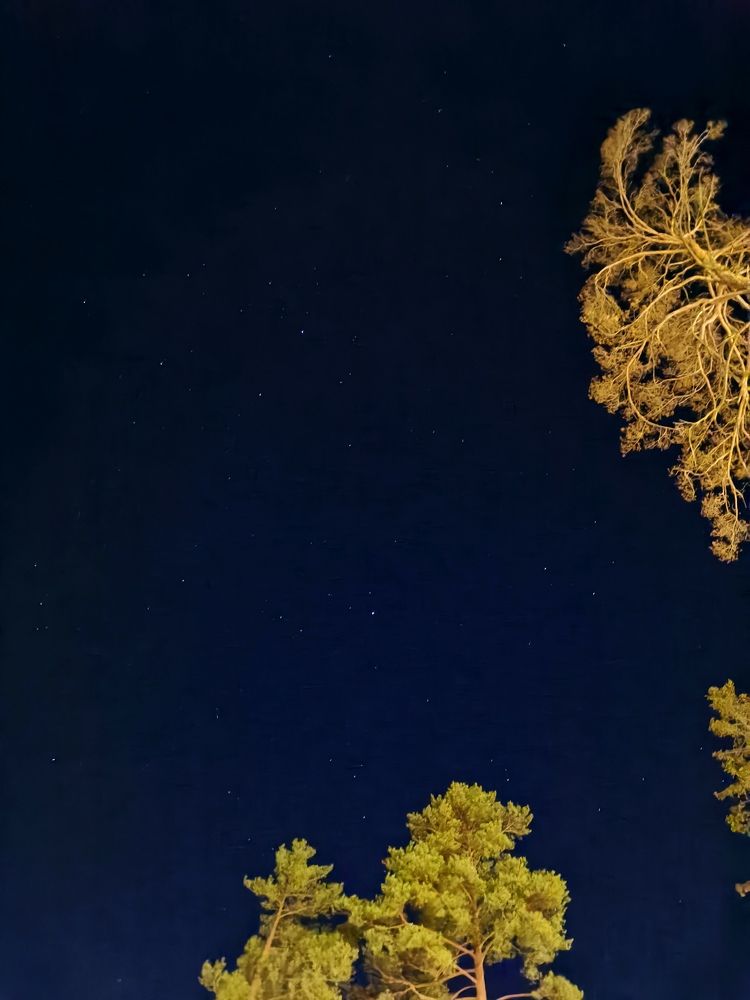 Photograph by Наталья Яковлева